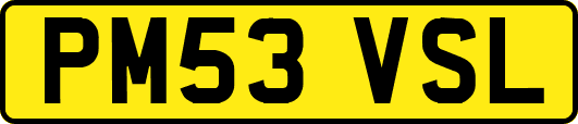 PM53VSL