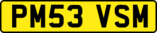 PM53VSM