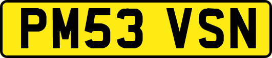 PM53VSN