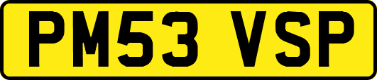 PM53VSP