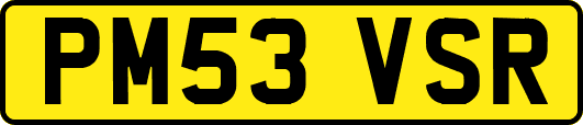 PM53VSR