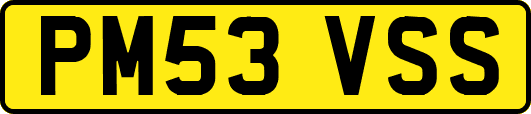 PM53VSS