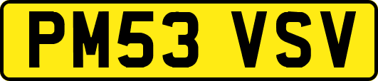 PM53VSV