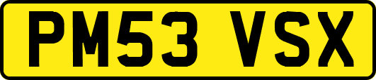PM53VSX
