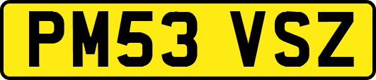 PM53VSZ