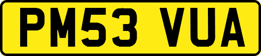 PM53VUA