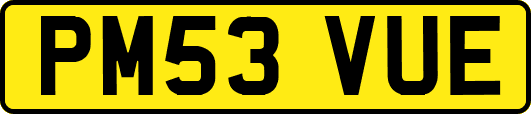 PM53VUE