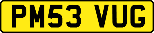PM53VUG