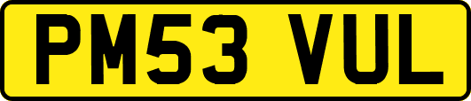 PM53VUL
