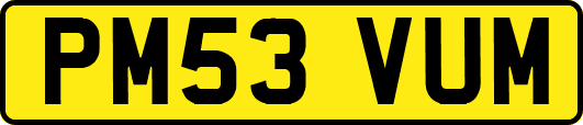 PM53VUM