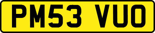 PM53VUO