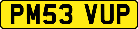 PM53VUP