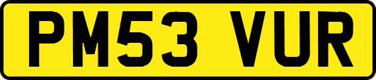 PM53VUR