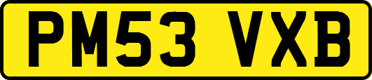 PM53VXB