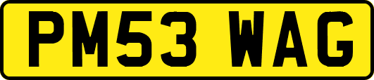 PM53WAG