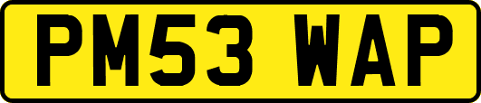 PM53WAP