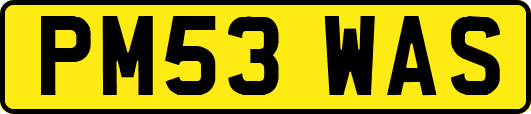 PM53WAS