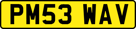 PM53WAV