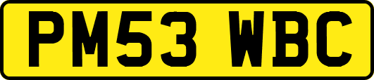 PM53WBC