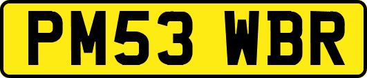 PM53WBR