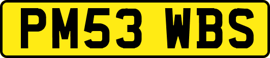 PM53WBS