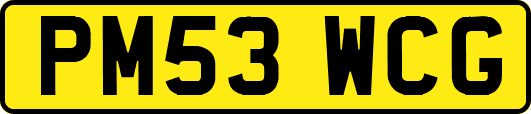 PM53WCG