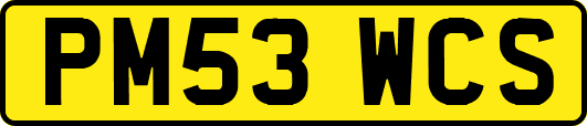 PM53WCS