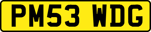 PM53WDG