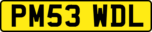 PM53WDL