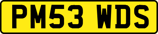 PM53WDS