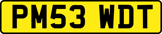 PM53WDT