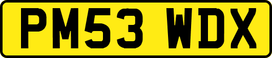 PM53WDX
