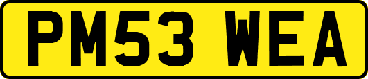 PM53WEA