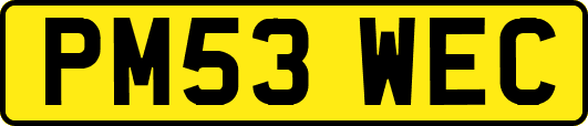 PM53WEC