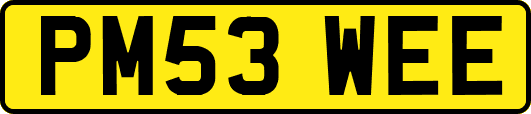 PM53WEE