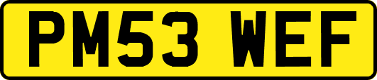 PM53WEF