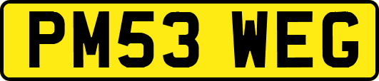 PM53WEG