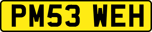PM53WEH