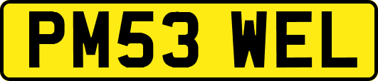 PM53WEL