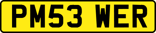 PM53WER