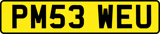 PM53WEU