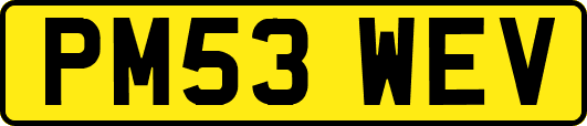PM53WEV
