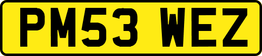 PM53WEZ