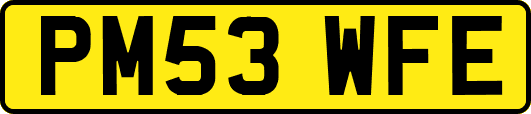 PM53WFE