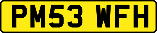 PM53WFH