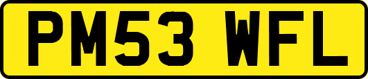 PM53WFL