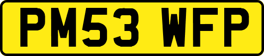 PM53WFP