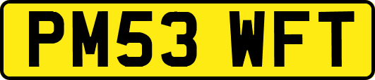 PM53WFT