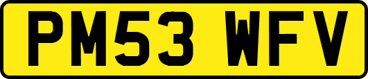 PM53WFV