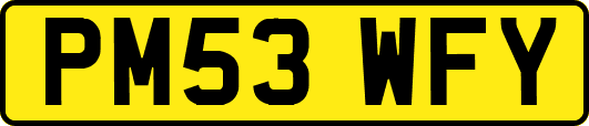 PM53WFY
